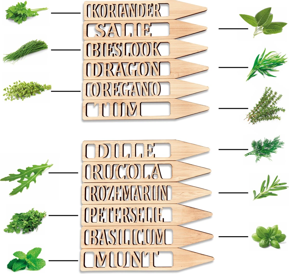 Djambo Tuingereedschap Set 8-delig Tuinsetje met 15 Unieke Bamboe Plantetiketten in 1 Draagtas - Compleet Tuingereedschap voor de Tuinliefhebbers Djambo Tuingereedschap Set 8-delig Tuinsetje Met 15 Unieke Bamboe Plantetiketten In 1 Draagtas - Compleet Tuingereedschap Voor De Tuinliefhebbers -Tuinverzorgings Winkel