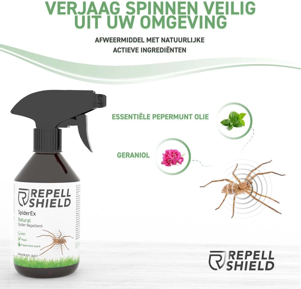 RepellShield Spinnen bestrijden - Ongediertewering | Diervriendelijk Spinnen verjagen met geur, Anti-Spinnen Spray - 250ml RepellShield Spinnen Bestrijden - Ongediertewering | Diervriendelijk Spinnen Verjagen Met Geur, Anti-Spinnen Spray - 250ml -Tuinverzorgings Winkel 1200x1152 5