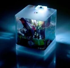 Swampworld Mini Terrarium Met LED Lamp - Vleesetende Plant - 1 Venus Vliegenvanger + Handige Watermeter - L12xB12xH15 Cm -Tuinverzorgings Winkel 1200x1160 6