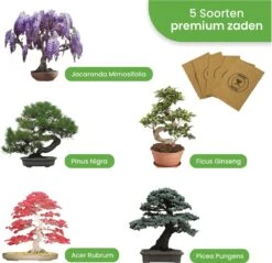 Qubis Bonsai Starters Kit - 23 Delige Kweekset - 5 Soorten Premium Zaden - DIY Pakket - Binnen Bonsai Boompje Kweken - Incl. Rouwvliegjes Vanger 5 Qubis Bonsai Starters Kit - 23 Delige Kweekset - 5 Soorten Premium Zaden - DIY Pakket - Binnen Bonsai Boompje Kweken - Incl. Rouwvliegjes Vanger -Tuinverzorgings Winkel 1200x1163 1
