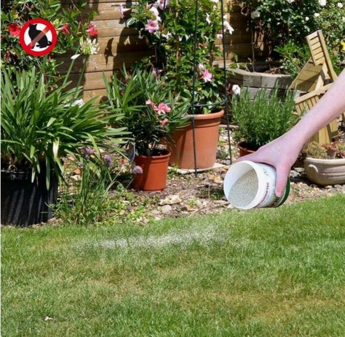 Kattenschrik Natuurlijk Afweermiddel Tegen Katten - 200 gram| Weert Katten | Kattenoverlast | Anti Katten Kattenschrik Natuurlijk Afweermiddel Tegen Katten - 200 Gram| Weert Katten | Kattenoverlast | Anti Katten -Tuinverzorgings Winkel 1200x1173 4