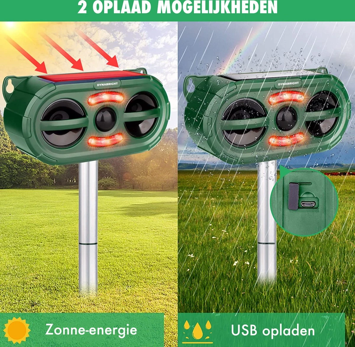 DynaBright - Solar Kattenverjager - Marterverjager - Waterdicht - Honden en Kattenschrik - Muizenverjager - Vogelverjager - Oplaadbare Batterijen - Bewegingssensor - Zonne-energie - USB Lader DynaBright - Solar Kattenverjager - Marterverjager - Waterdicht - Honden En Kattenschrik - Muizenverjager - Vogelverjager - Oplaadbare Batterijen - Bewegingssensor - Zonne-energie - USB Lader -Tuinverzorgings Winkel 1200x1174 8