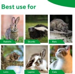 MaxxGarden Vangkooi Voor Dieren Van 60x18x20cm - Rattenval - Dubbele Ingang - Opvouwbaar 4 MaxxGarden Vangkooi Voor Dieren Van 60x18x20cm - Rattenval - Dubbele Ingang - Opvouwbaar -Tuinverzorgings Winkel 1200x1177 13