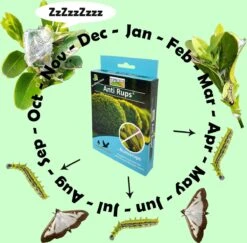 TOPBUXUS Anti Rups (voorheen XenTari) Tegen Buxusrups - Buxusmot - Voor 200 M² Buxus -Tuinverzorgings Winkel 1200x1179 16