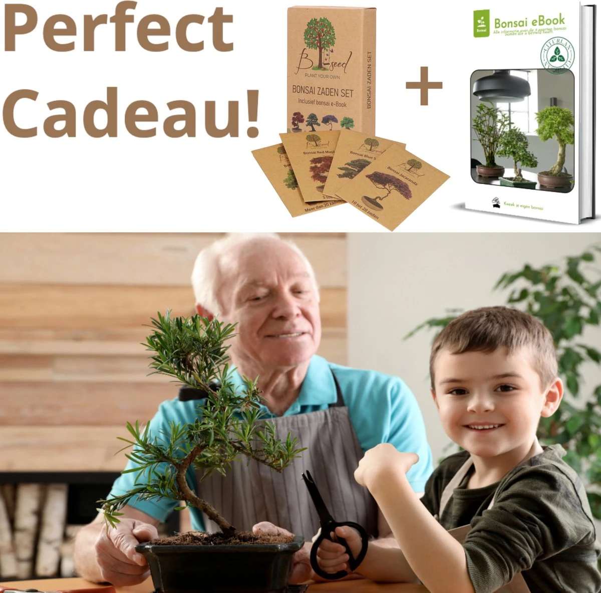 B-seed Zaden Set Incl. e-Book Bonsai Zaden Kweken - Boompje in Pot - Kamerplanten - Kweekset – Cadeau Man & Vrouw - Geschenkset B-seed Zaden Set Incl. E-Book Bonsai Zaden Kweken - Boompje In Pot - Kamerplanten - Kweekset – Cadeau Man & Vrouw - Geschenkset -Tuinverzorgings Winkel 1200x1183 7