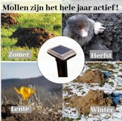 Sedeve Mollenverjager Op Zonne Energie –Mollenverjager – Muizenverjager – Ultrasone-verjager – Bereik Van 150 M2 - Set Van 2 Stuks 6 Sedeve Mollenverjager Op Zonne Energie –Mollenverjager – Muizenverjager – Ultrasone-verjager – Bereik Van 150 M2 - Set Van 2 Stuks -Tuinverzorgings Winkel 1200x1186 7