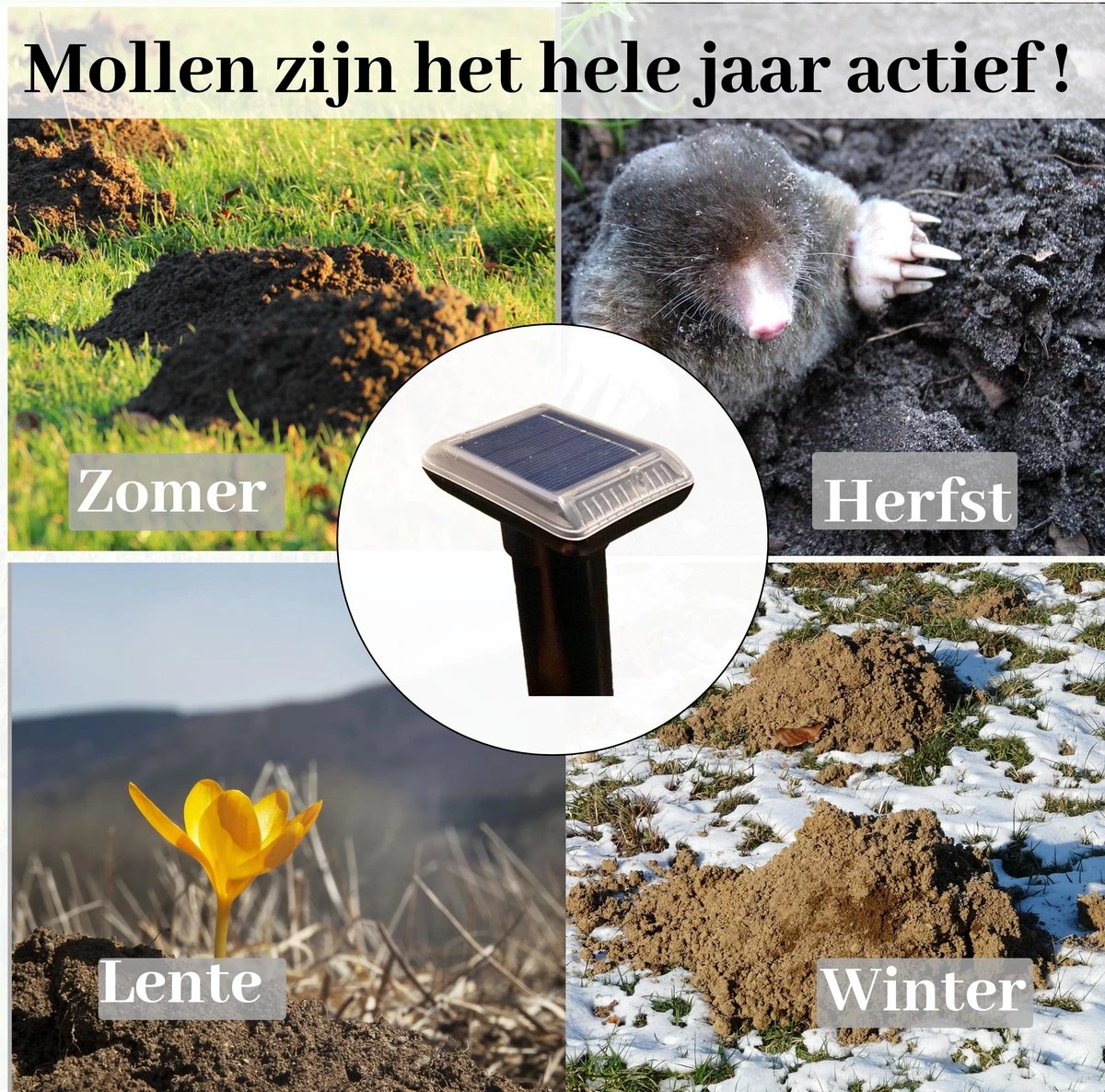Sedeve Mollenverjager op Zonne Energie –Mollenverjager – Muizenverjager – ultrasone-verjager – Bereik van 150 m2 - set van 2 stuks Sedeve Mollenverjager Op Zonne Energie –Mollenverjager – Muizenverjager – Ultrasone-verjager – Bereik Van 150 M2 - Set Van 2 Stuks -Tuinverzorgings Winkel 1200x1186 7