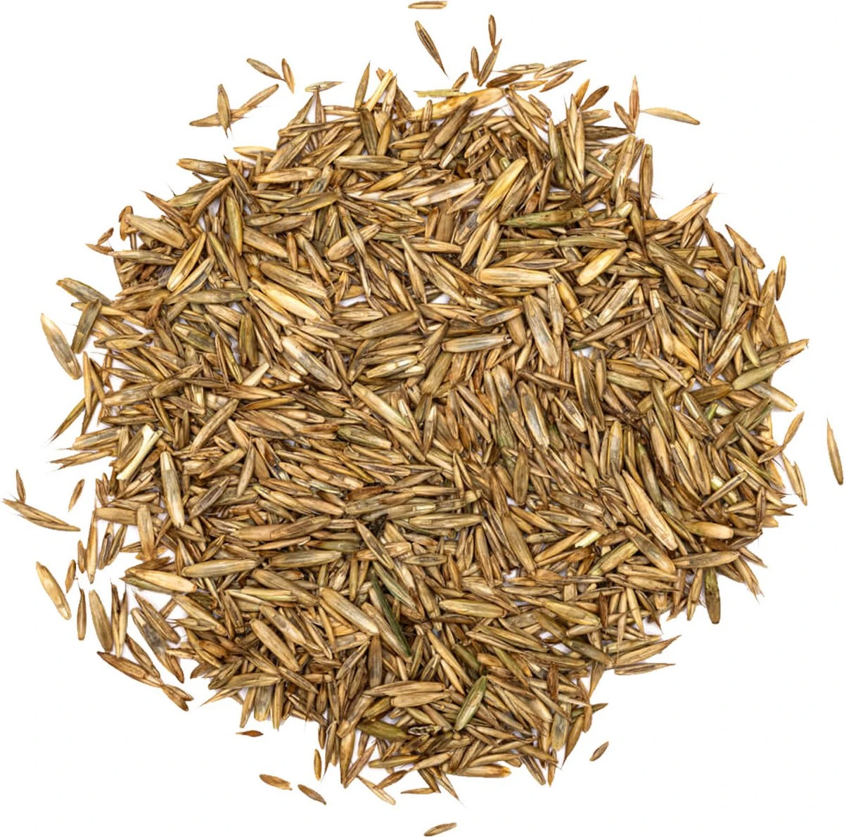 Speel en Sport Graszaad voor 50m² Gras | Bestendig tegen Intensief Gebruik | Gazon voor Sporten & Spelen Speel En Sport Graszaad Voor 50m² Gras | Bestendig Tegen Intensief Gebruik | Gazon Voor Sporten & Spelen -Tuinverzorgings Winkel 1200x1190 11