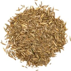 Snelkiemend Power Graszaad Voor 100m² Gras | Hoge Kwaliteit Gras Voor Een Snel Groeiend Meerjarig Gazon -Tuinverzorgings Winkel 1200x1190 15