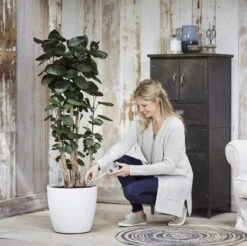 Elho Aqua Care 9 - Accessoires Voor Binnenaccessoires - Ø 17.3 X H 32.0 Cm - Transparant/Transparant -Tuinverzorgings Winkel 1200x1193 16