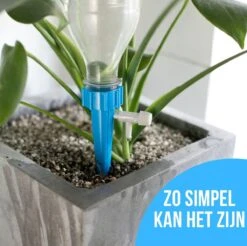 12 Stuks Plant Bewateringssysteem | Waterdruppelaar | Druppelsysteem |Bewateringssysteem | Bewateringsyteem Watergeefsysteem | Plantenbol | Automatische Gieter | Water Druppelaar | Druppel Systeem | Water Geef Systeem | Plantenbol | -Tuinverzorgings Winkel 1200x1196 14