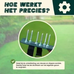 Merkloos Gazonbeluchtingssandalen Premium - Gazonbeluchter - Beluchter - Gazonverluchter - Gazonpriksandalen - Verticuteerroller - Graszaad - Gazonmest - Kerstcadeau - Voor Mannen - Voor Vrouwen - Cadeautjes- Vaderdag Cadeau- Geschenk- Cadeautjes 5 Merkloos Gazonbeluchtingssandalen Premium - Gazonbeluchter - Beluchter - Gazonverluchter - Gazonpriksandalen - Verticuteerroller - Graszaad - Gazonmest - Kerstcadeau - Voor Mannen - Voor Vrouwen - Cadeautjes- Vaderdag Cadeau- Geschenk- Cadeautjes -Tuinverzorgings Winkel 1200x1197 12