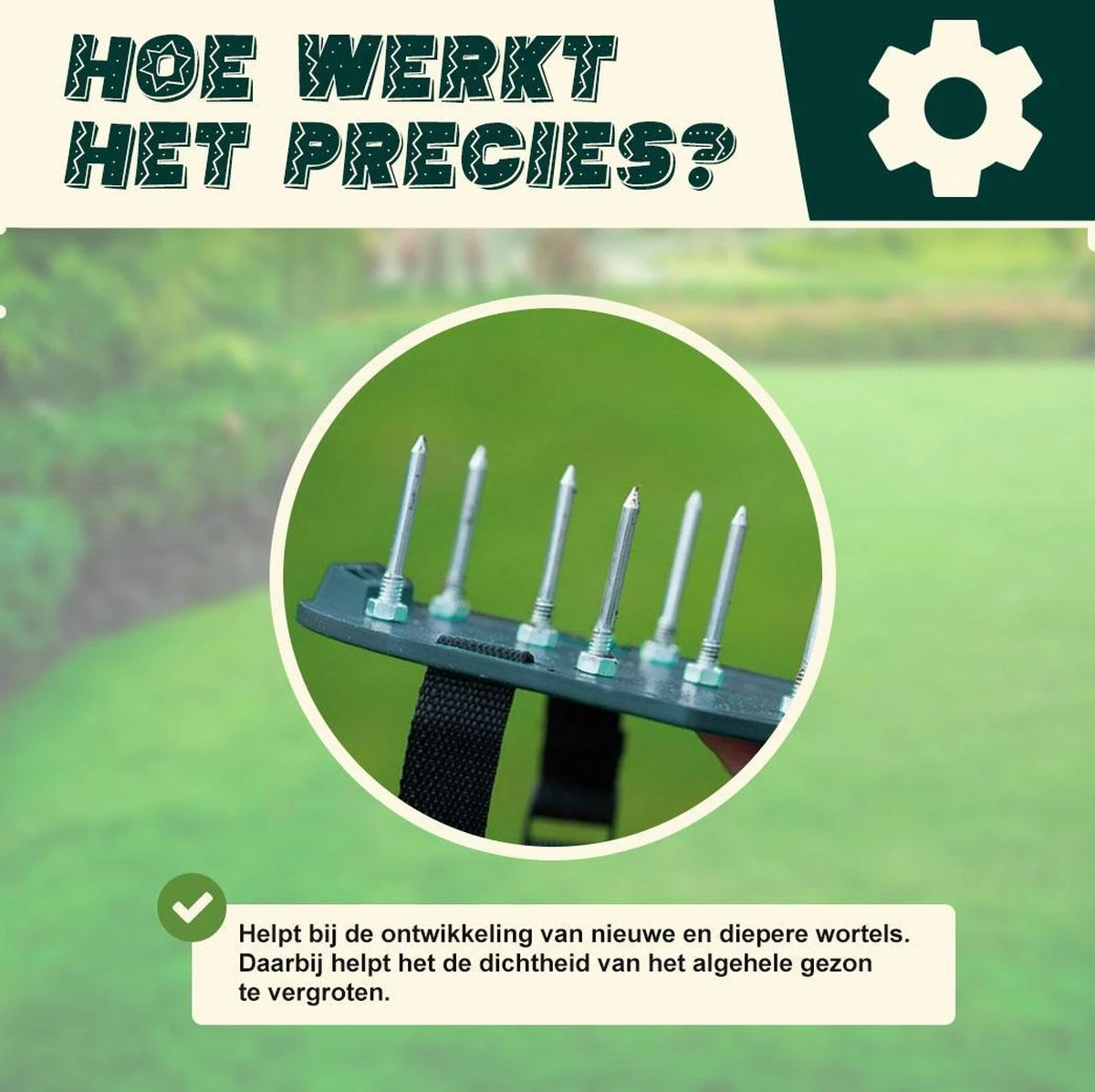 Gazonbeluchtingssandalen Premium - Gazonbeluchter - Beluchter - Gazonverluchter - Gazonpriksandalen - Verticuteerroller - Graszaad - Gazonmest - Kerstcadeau - Voor Mannen - Voor Vrouwen - Cadeautjes- Vaderdag Cadeau- Geschenk- Cadeautjes Merkloos Gazonbeluchtingssandalen Premium - Gazonbeluchter - Beluchter - Gazonverluchter - Gazonpriksandalen - Verticuteerroller - Graszaad - Gazonmest - Kerstcadeau - Voor Mannen - Voor Vrouwen - Cadeautjes- Vaderdag Cadeau- Geschenk- Cadeautjes -Tuinverzorgings Winkel 1200x1197 12