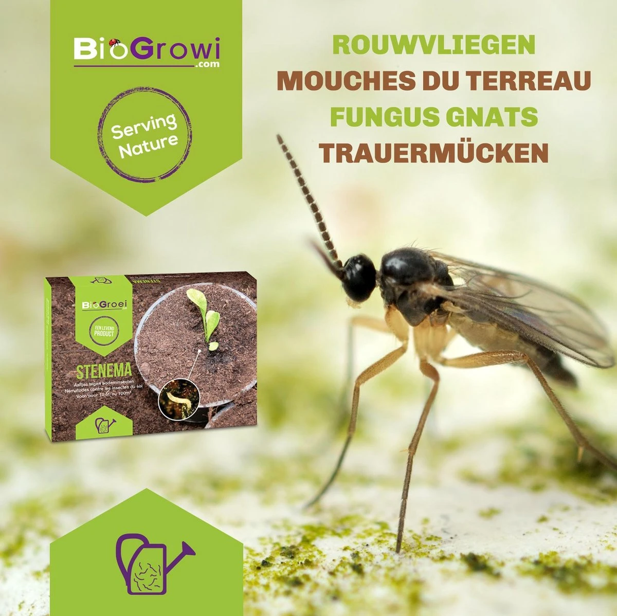 Aaltjes tegen Rouwvliegjes | Stenema 10m² | Rouwvliegen bestrijden Aaltjes Tegen Rouwvliegjes | Stenema 10m² | Rouwvliegen Bestrijden -Tuinverzorgings Winkel 1200x1198 19
