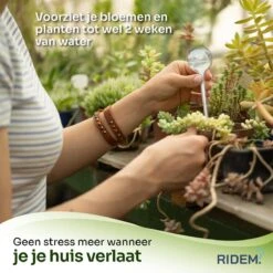 Waterdruppelaar Voor Planten - Irrigatiesysteem- Waterbol - Druppelsysteem - Watergeefsysteem Voor Kamerplanten - Plantenwatergever -6 Stuks - Transparant -Tuinverzorgings Winkel 1200x1198 32
