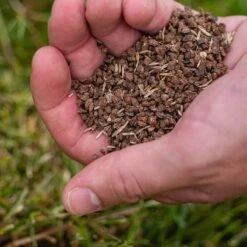 ECOstyle Gazon 4-in-1 Totaalpakket Met Kalk, Mest, Graszaad & Grond In Een Doos - Geeft Kale Plekken In Gras Egaal Herstel - 5- 10 Kale Plekken - 1 KG -Tuinverzorgings Winkel 1200x1199 21