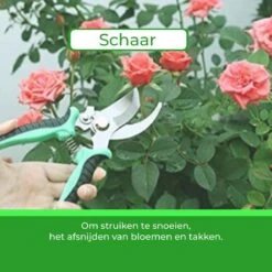 Djambo Tuingereedschap Set 8-delig Tuinsetje Met 15 Unieke Bamboe Plantetiketten In 1 Draagtas - Compleet Tuingereedschap Voor De Tuinliefhebbers 10 Djambo Tuingereedschap Set 8-delig Tuinsetje Met 15 Unieke Bamboe Plantetiketten In 1 Draagtas - Compleet Tuingereedschap Voor De Tuinliefhebbers -Tuinverzorgings Winkel 1200x1200 1