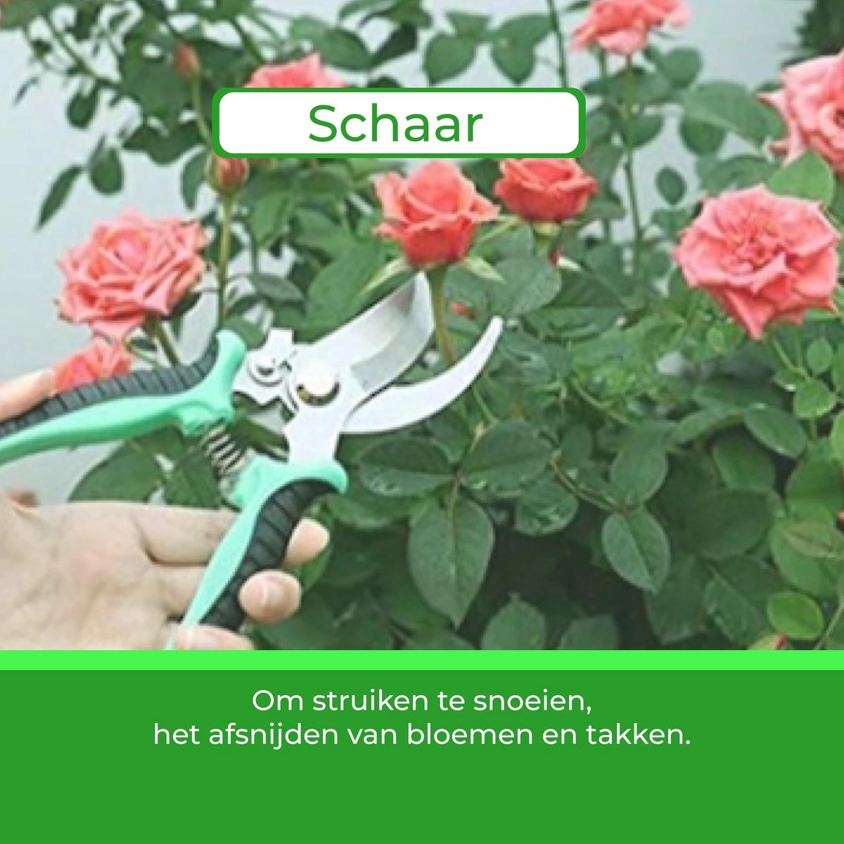 Djambo Tuingereedschap Set 8-delig Tuinsetje met 15 Unieke Bamboe Plantetiketten in 1 Draagtas - Compleet Tuingereedschap voor de Tuinliefhebbers Djambo Tuingereedschap Set 8-delig Tuinsetje Met 15 Unieke Bamboe Plantetiketten In 1 Draagtas - Compleet Tuingereedschap Voor De Tuinliefhebbers -Tuinverzorgings Winkel 1200x1200 1