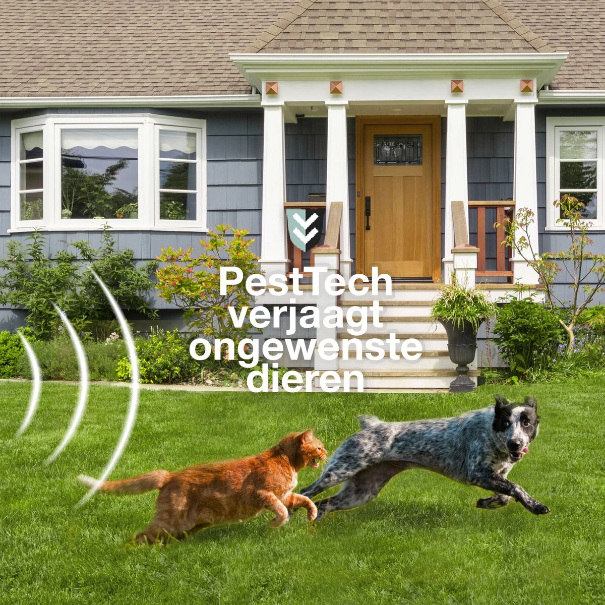 Pest-Tech PT-221 | Ultrasone Kattenverjager op zonneenergie | Kattenschrik | Marterverjager | Dierenverjager | Kattenafweermiddel | Ongedierte verjager - Met USB oplaadkabel Pest-Tech PT-221 | Ultrasone Kattenverjager Op Zonneenergie | Kattenschrik | Marterverjager | Dierenverjager | Kattenafweermiddel | Ongedierte Verjager - Met USB Oplaadkabel -Tuinverzorgings Winkel 1200x1200 1057