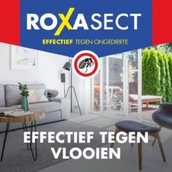 Roxasect Spray Tegen Vlooien - Ongediertewering - 300 Ml -Tuinverzorgings Winkel 1200x1200 1080