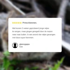 VerminBuster Rattenval 6 Stuks - Rattenklemmen Voor Binnen & Buiten - Zonder Rattenvergif -Tuinverzorgings Winkel 1200x1200 1105