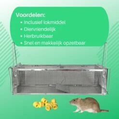 ValueStar Rattenval - Rattenval Voor Buiten - Ongediertebestrijding - Rattenvallen - Ratten - Rattenval Vangkooi -Tuinverzorgings Winkel 1200x1200 1108