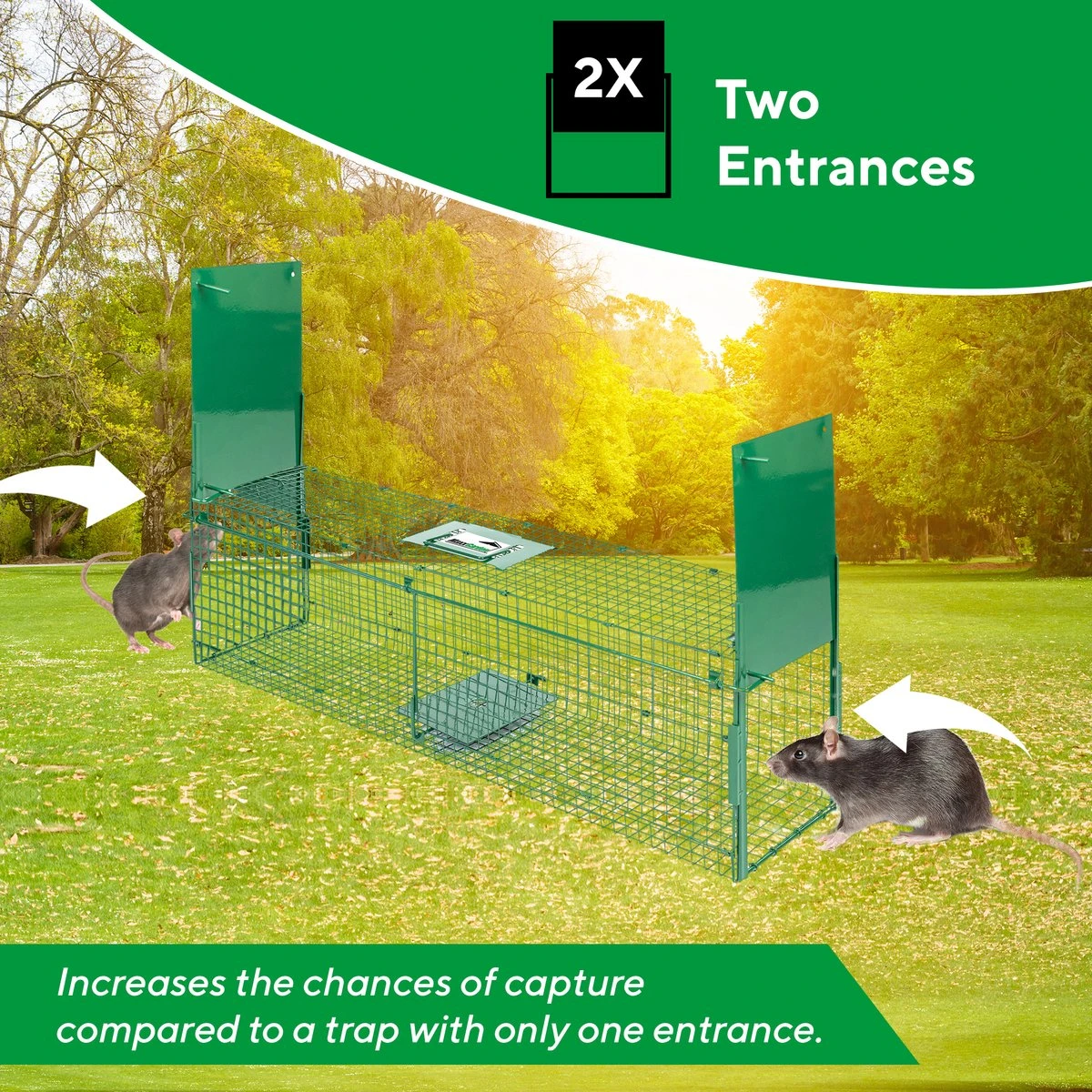 MaxxGarden Vangkooi voor dieren van 60x18x20cm - rattenval - dubbele ingang - opvouwbaar MaxxGarden Vangkooi Voor Dieren Van 60x18x20cm - Rattenval - Dubbele Ingang - Opvouwbaar -Tuinverzorgings Winkel 1200x1200 1112