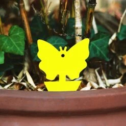 Rouwvliegjes Bestrijden 15 Stuks - Vliegenvanger - Insectenvanger - Lijmval - Vangplaten - Plak Klavertjes Tegen Rouwvliegen En Trips - Vangkaarten - Hebron® -Tuinverzorgings Winkel 1200x1200 1122