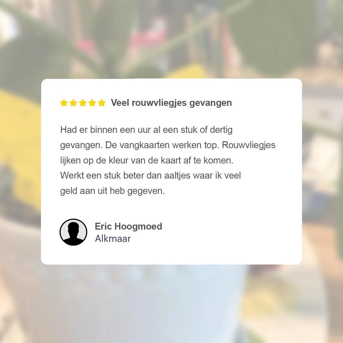 Dayshake Rouwvliegjes Vangkaarten 24 stuks - Vliegenvanger Plak klavertjes - Fruitvliegjes vanger - Varenrouwmug bestrijden Merkloos Dayshake Rouwvliegjes Vangkaarten 24 Stuks - Vliegenvanger Plak Klavertjes - Fruitvliegjes Vanger - Varenrouwmug Bestrijden -Tuinverzorgings Winkel 1200x1200 1138