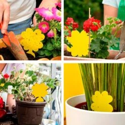 Plak Klavertjes Tegen Rouwvliegjes 48 Stuks - Rouwvliegjes Bestrijden - Varenrouwmug - Plakstrips - Vangkaarten - Vangplaten - Insectenval - Insectenvanger 5 Plak Klavertjes Tegen Rouwvliegjes 48 Stuks - Rouwvliegjes Bestrijden - Varenrouwmug - Plakstrips - Vangkaarten - Vangplaten - Insectenval - Insectenvanger -Tuinverzorgings Winkel 1200x1200 1150