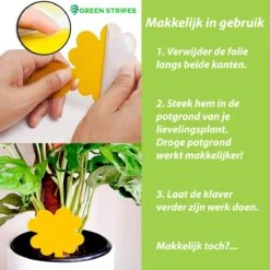 Plak Klavertjes Tegen Rouwvliegjes 48 Stuks - Rouwvliegjes Bestrijden - Varenrouwmug - Plakstrips - Vangkaarten - Vangplaten - Insectenval - Insectenvanger 7 Plak Klavertjes Tegen Rouwvliegjes 48 Stuks - Rouwvliegjes Bestrijden - Varenrouwmug - Plakstrips - Vangkaarten - Vangplaten - Insectenval - Insectenvanger -Tuinverzorgings Winkel 1200x1200 1151