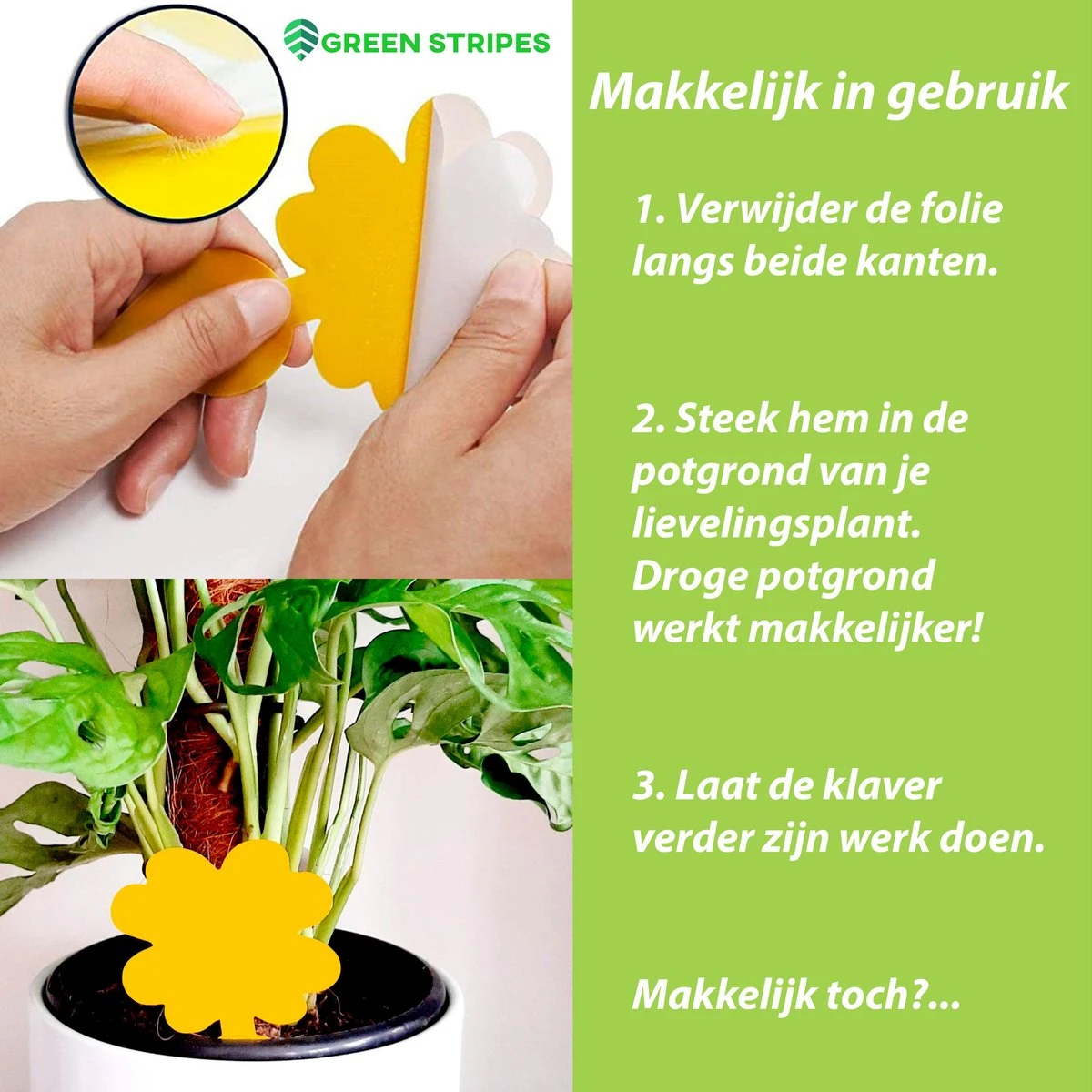 Plak klavertjes tegen rouwvliegjes 48 stuks - Rouwvliegjes bestrijden - Varenrouwmug - Plakstrips - Vangkaarten - Vangplaten - Insectenval - Insectenvanger Plak Klavertjes Tegen Rouwvliegjes 48 Stuks - Rouwvliegjes Bestrijden - Varenrouwmug - Plakstrips - Vangkaarten - Vangplaten - Insectenval - Insectenvanger -Tuinverzorgings Winkel 1200x1200 1151