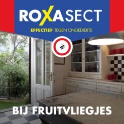 Roxasect Fruitvliegjes Ongedierteval - Anti-fruitvliegjes Insectenval - Fruitvliegjes Vanger - 2 Stuks -Tuinverzorgings Winkel 1200x1200 1162