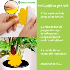 Plak Klavertjes Tegen Rouwvliegjes 15 Stuks - Rouwvliegjes Bestrijden - Varenrouwmug - Plakstrips - Vangkaarten - Vangplaten - Insectenval - Insectenvanger 7 Plak Klavertjes Tegen Rouwvliegjes 15 Stuks - Rouwvliegjes Bestrijden - Varenrouwmug - Plakstrips - Vangkaarten - Vangplaten - Insectenval - Insectenvanger -Tuinverzorgings Winkel 1200x1200 1175