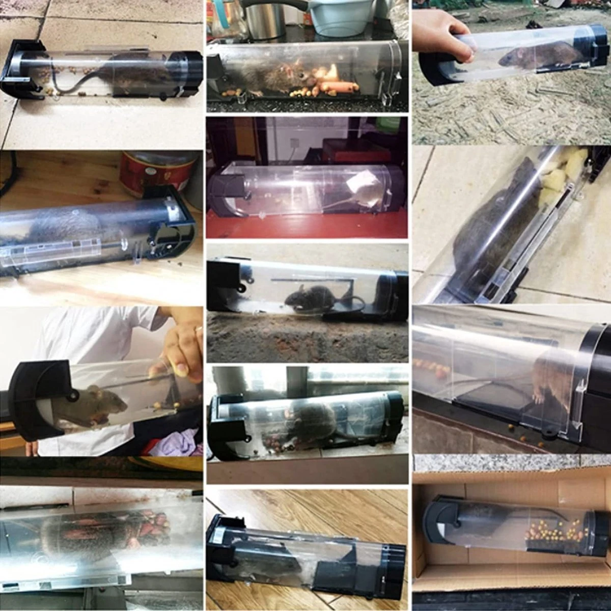 IGOODS - Diervriendelijke Muizenval - Ongedierte bestrijding - Knaagdieren 2 Stuks - kleur TRANSPARANT IGOODS - Diervriendelijke Muizenval - Ongedierte Bestrijding - Knaagdieren 2 Stuks - Kleur TRANSPARANT -Tuinverzorgings Winkel 1200x1200 1225