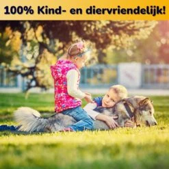 Wonact Muizenval - Diervriendelijke Muizenvallen Voor Binnen En Buiten - 3 Stuks - Verbeterd Model 2023 - Inclusief E-boek Met Vangtips En Schoonmaakborsteltje 7 Wonact Muizenval - Diervriendelijke Muizenvallen Voor Binnen En Buiten - 3 Stuks - Verbeterd Model 2023 - Inclusief E-boek Met Vangtips En Schoonmaakborsteltje -Tuinverzorgings Winkel 1200x1200 1232