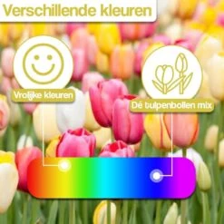 Merkloos Verschillende Kleuren Tulpenbollen Mix Met 30 Tulpen Bollen - Bloembollen Mix - Tuin - Tuindecoratie - Bloemen - Balkon -Tuinverzorgings Winkel 1200x1200 1284