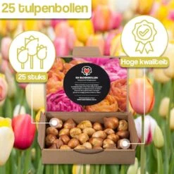Merkloos Verschillende Kleuren Tulpenbollen Mix Met 30 Tulpen Bollen - Bloembollen Mix - Tuin - Tuindecoratie - Bloemen - Balkon -Tuinverzorgings Winkel 1200x1200 1285
