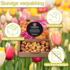 Merkloos Verschillende Kleuren Tulpenbollen Mix Met 30 Tulpen Bollen - Bloembollen Mix - Tuin - Tuindecoratie - Bloemen - Balkon -Tuinverzorgings Winkel 1200x1200 1290