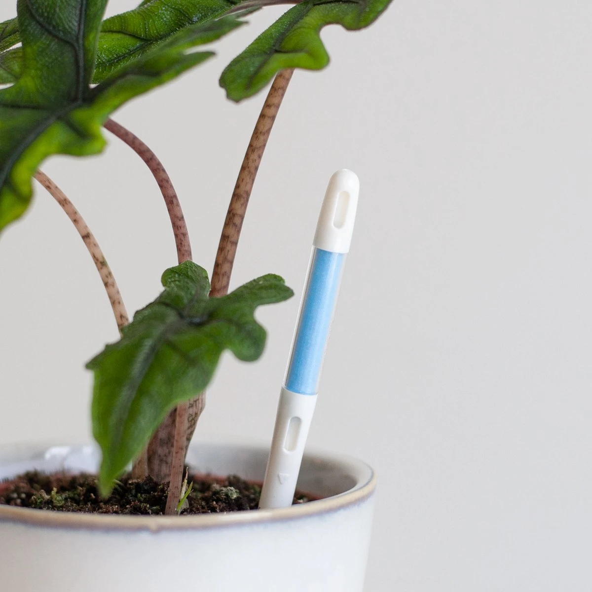 Watermeter - S Watermeter - S -Tuinverzorgings Winkel 1200x1200 1314