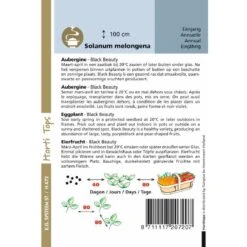 Hortitops Zaden - Aubergine Black Beauty 1 Gram -Tuinverzorgings Winkel 1200x1200 1335
