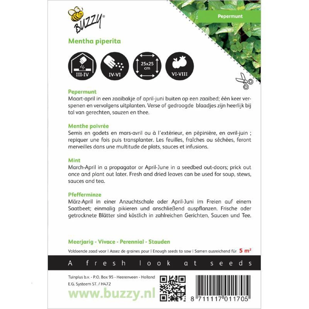 Buzzy Zaden Pepermunt Buzzy Zaden Pepermunt -Tuinverzorgings Winkel 1200x1200 1342