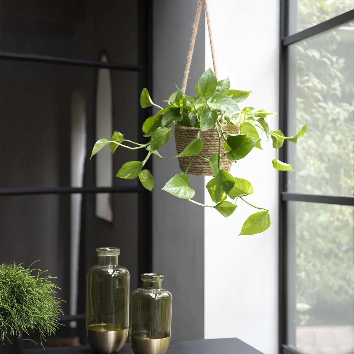 WL Plants - Epipremnum Aureum - Drankenklimop - Hangplant - Hangplanten Voor Binnen - Kamerplanten - Ook Geschikt Als Klimplant - Gemakkelijk te verzorgen - ± 30cm hoog - 17cm diameter - In Kweekpot WL Plants - Epipremnum Aureum - Drankenklimop - Hangplant - Hangplanten Voor Binnen - Kamerplanten - Ook Geschikt Als Klimplant - Gemakkelijk Te Verzorgen - ± 30cm Hoog - 17cm Diameter - In Kweekpot -Tuinverzorgings Winkel 1200x1200 1355