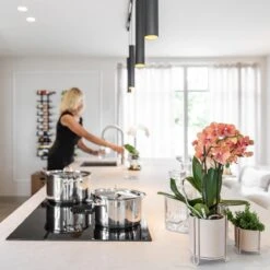 Kolibri Orchids | COMBI DEAL Van 2 Oranje Phalaenopsis Orchideeën - Bolzano - Potmaat Ø9cm Bloeiende Kamerplant - Vers Van De Kweker -Tuinverzorgings Winkel 1200x1200 1358