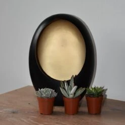 ZynesFlora - Mini Succulenten Mix - 12 Stuks - Ø 5,5 Cm - Hoogte: 5-10 Cm - Vetplant - Kamerplant -Tuinverzorgings Winkel 1200x1200 1365