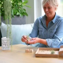 Luchtplantjes -Tuinverzorgings Winkel 1200x1200 1420