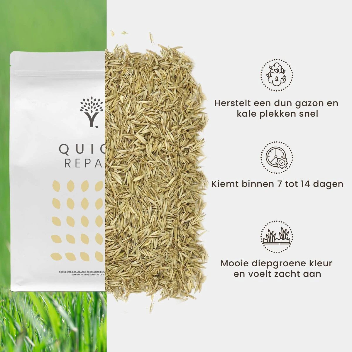 Snel Herstel Graszaad voor 250m² Gras | Perfect bij Kale Plekken en een Beschadigd Gazon Snel Herstel Graszaad Voor 250m² Gras | Perfect Bij Kale Plekken En Een Beschadigd Gazon -Tuinverzorgings Winkel 1200x1200 1458
