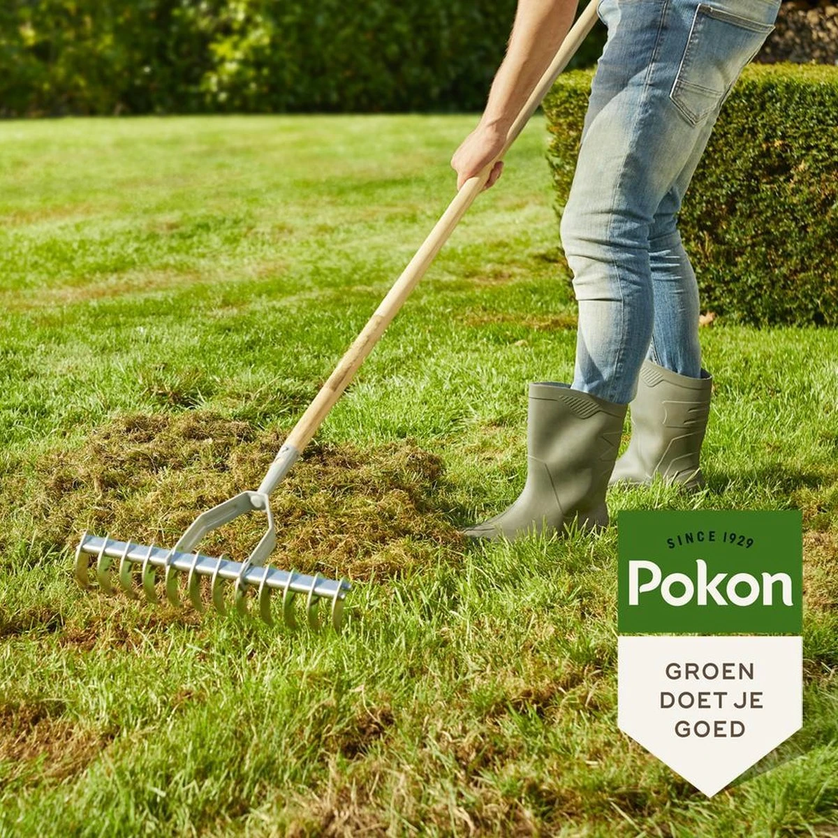 Pokon Graszaad Herstel - 2kg - Gazonherstel - Geschikt voor 80m² tot 120m² - Supersnel egaal groen gras Pokon Graszaad Herstel - 2kg - Gazonherstel - Geschikt Voor 80m² Tot 120m² - Supersnel Egaal Groen Gras -Tuinverzorgings Winkel 1200x1200 1461
