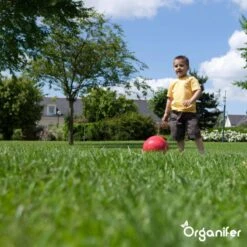 Speelgazon Graszaad (1kg Voor 50m2) - Snelkiemend En Zelfherstellend Sportgazon Bestand Tegen Betreding - Resilient - Organifer -Tuinverzorgings Winkel 1200x1200 1474