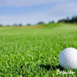 Speelgazon Graszaad (1kg Voor 50m2) - Snelkiemend En Zelfherstellend Sportgazon Bestand Tegen Betreding - Resilient - Organifer -Tuinverzorgings Winkel 1200x1200 1475